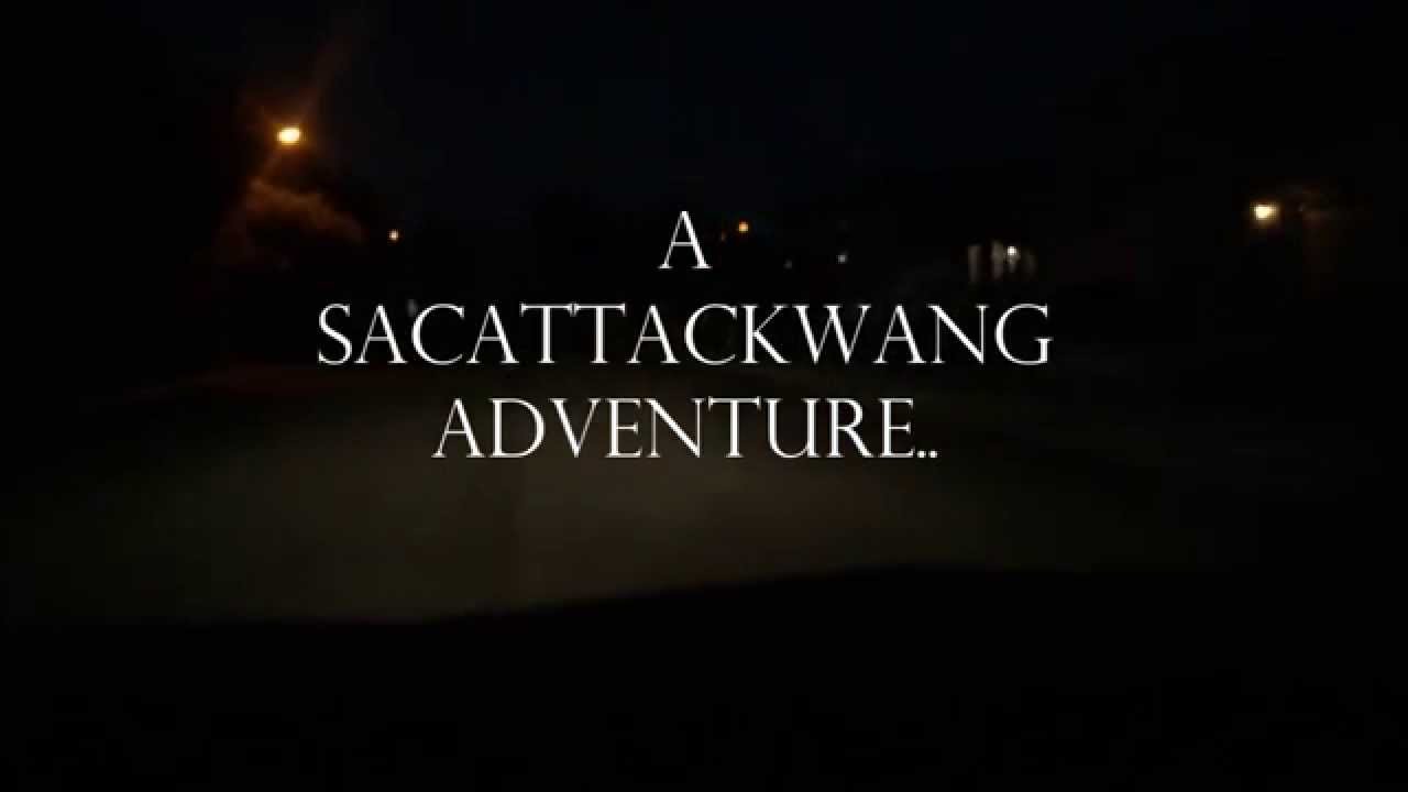 A SacattackWang Adventure