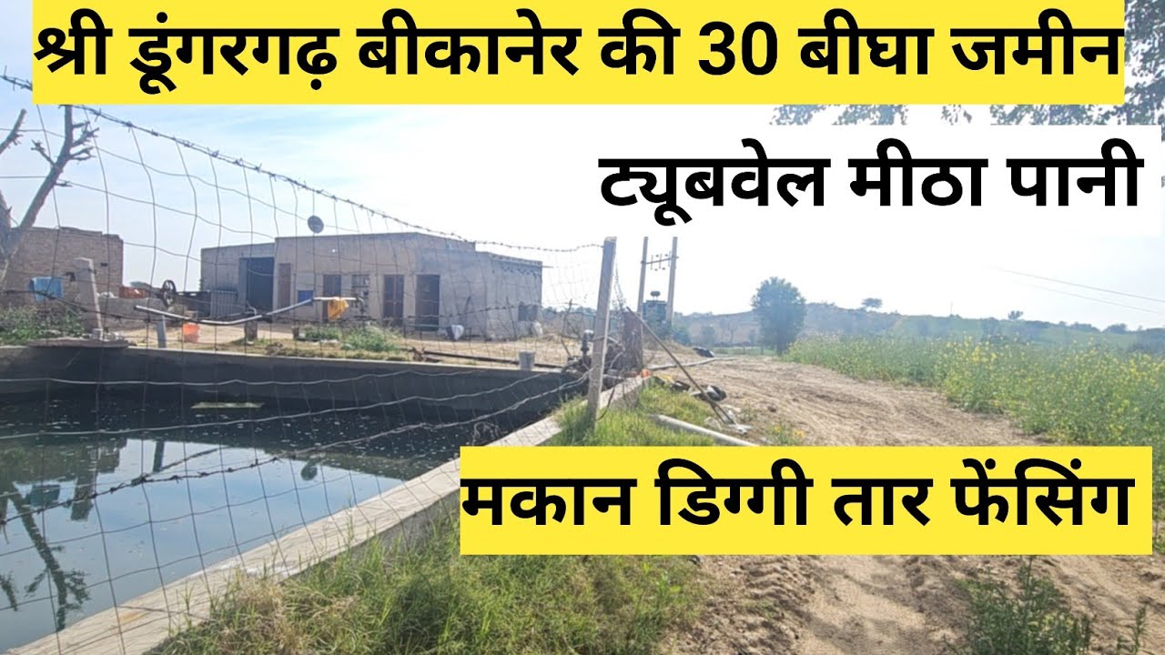 श्री डूंगरगढ़ बीकानेर की 30 बीघा जमीन बिकाऊ ट्यूबवेल मीठा पानी मकान डिग्गी तार फेंसिंग। बिकाऊ जमीन 