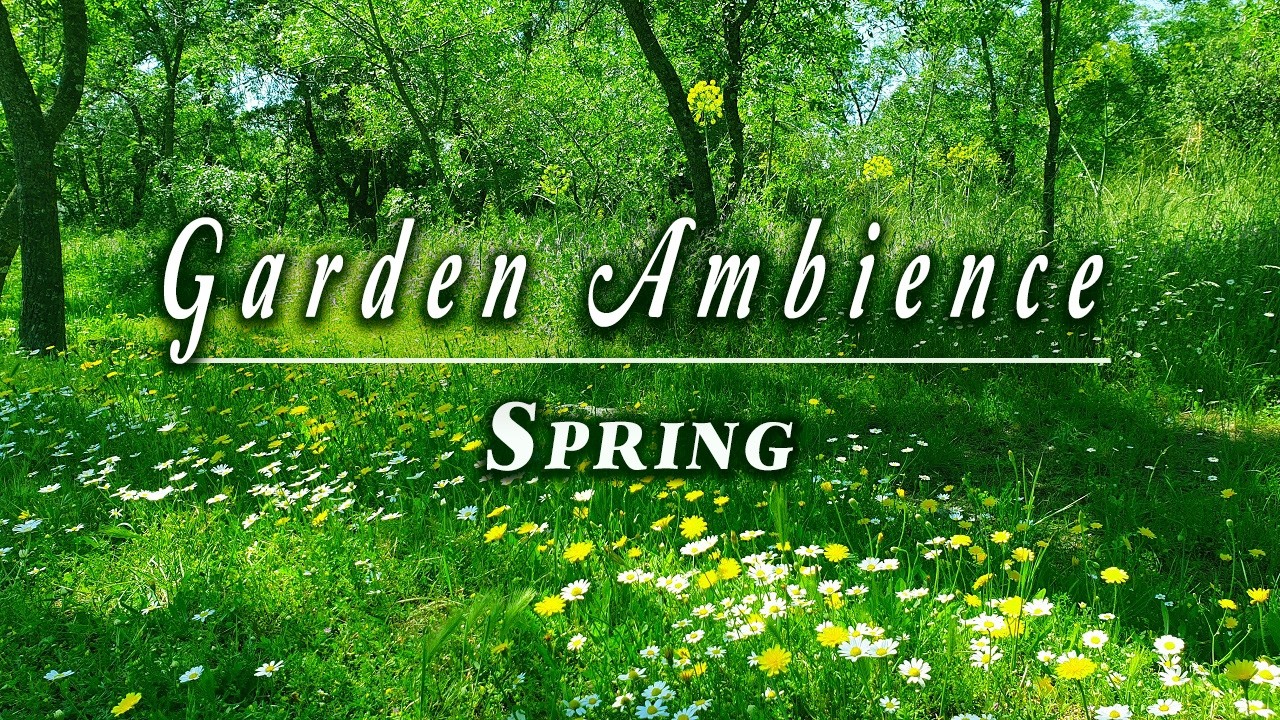 Relaxing Nature Ambience Meditation 🌳 Healing Sounds of a Calming SPRING Morning in the GARDEN