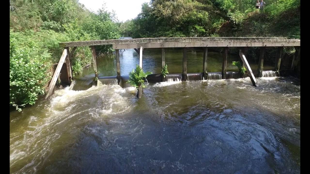 Réserve Naturelle du Courant d'Huchet, Léon Landes, mai 2016.