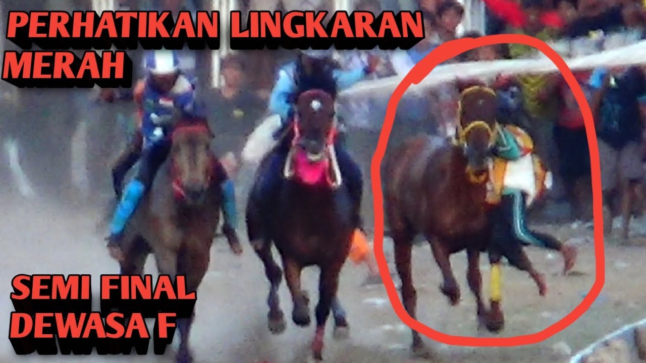 SEMI FINAL dewasa F !!! pacuan kuda sambinae kota bima2024