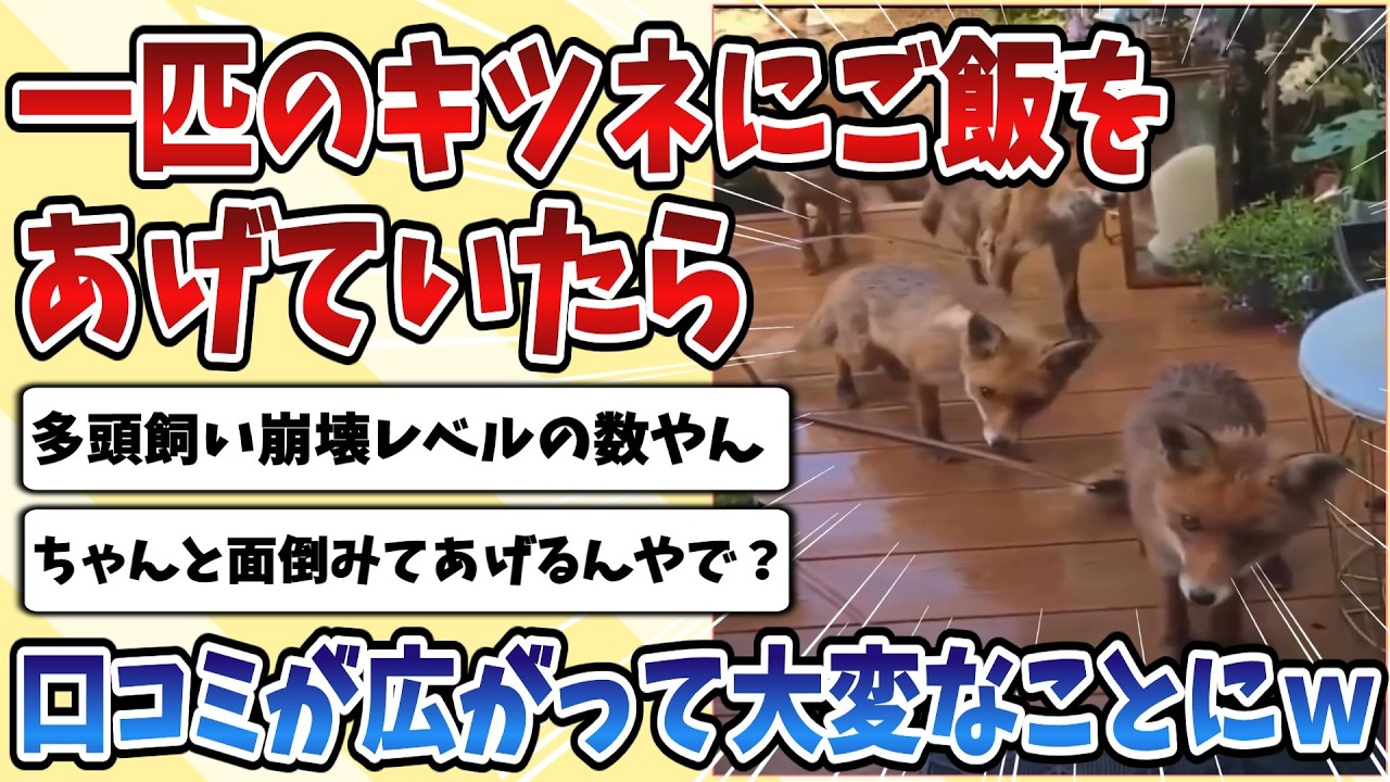 【2ch動物スレ】一匹の野生の【キツネ】と仲良くなってご飯をあげていた主さんだったが、いつの間にか口コミが広がり大変なことになってしまうｗｗｗ