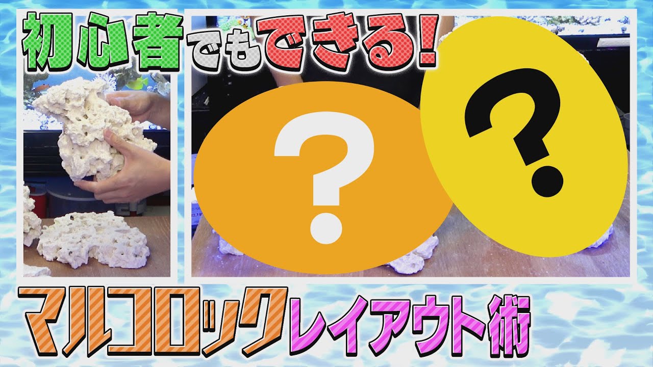 ライブロックの時代はもう終わり!?　最先端 ｢マルコロック｣の魅力!!!!《サンゴ水槽》【2022年7月号 vol.3】