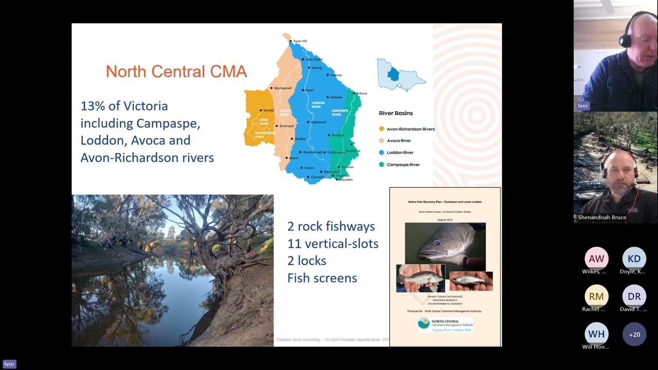 World Fish Migration Day Webinar Reviving Biodiversity Improving Fish Passage