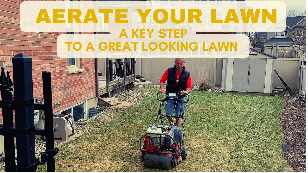 Aerating Your Lawn, When, Why and to How to Aerate you lawn