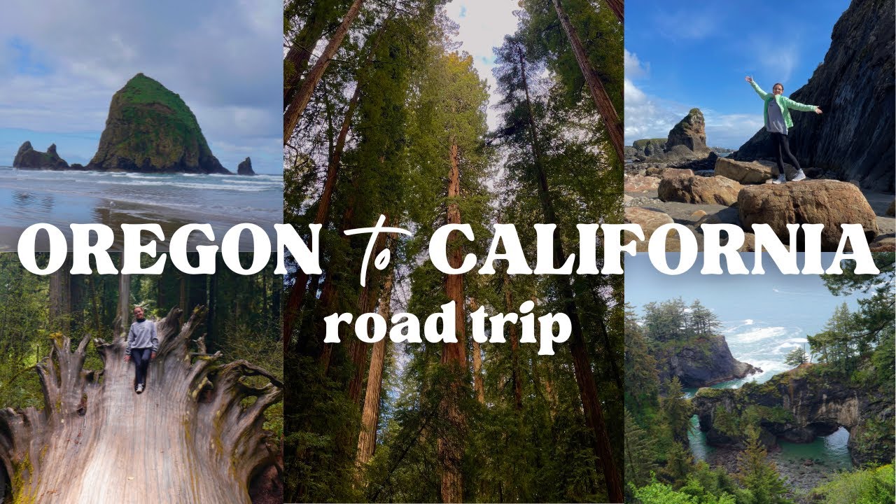 oregon to california road trip! oregon coast, redwood national & state parks, astoria