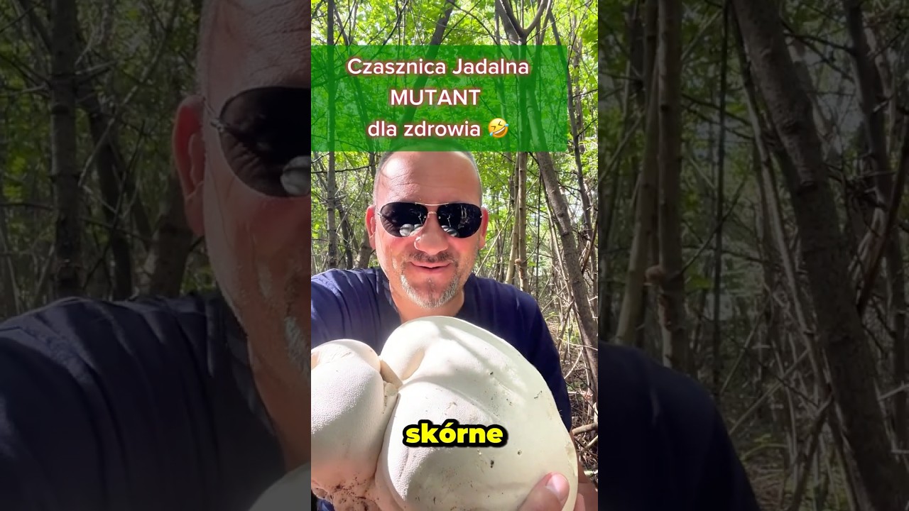 Na sk&oacute;rę - 🍄&zwj;🟫 Grzybem ??? No jak to tak można?!? A jednak można spr&oacute;bować&hellip; 🌿😎 #wibracjeznatury
