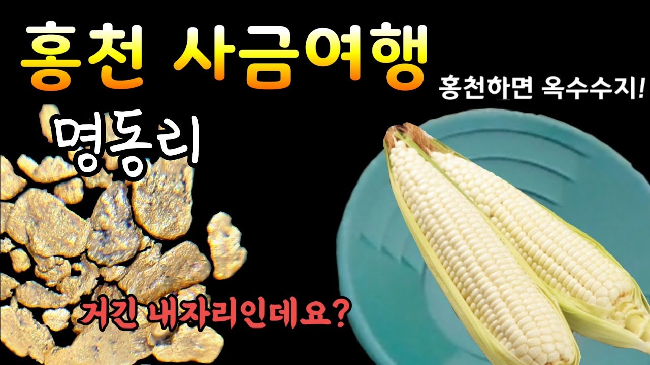 홍천 사금학교로 불리우는 사금지를 찾아가보았습니다 extraction of gold