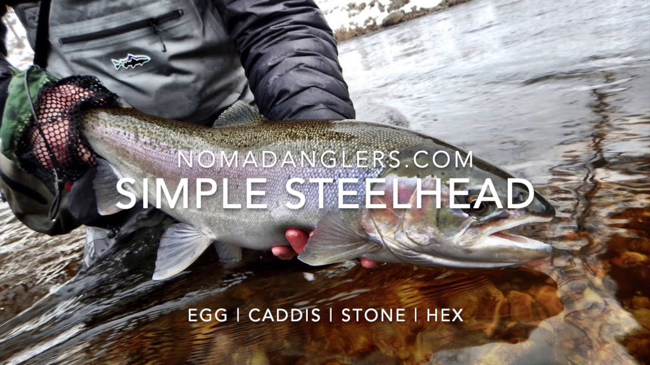 4 Simple GREAT LAKES STEELHEAD Fly Patterns Egg | Caddis | Stone Fly | Hex