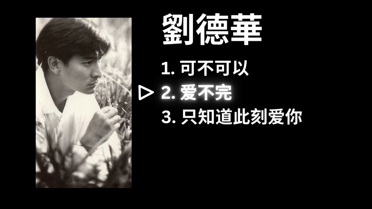 Andy Lau 劉德華 Playlist - 可不可以 / 爱不完 / 只知道此刻爱你