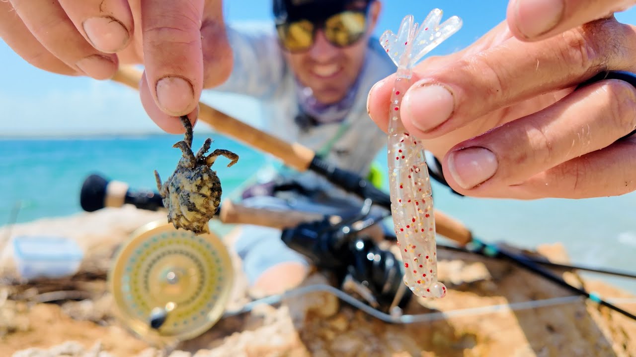 SOUTH FlORIDA SURF SIGHT FISHING w/ Crabs and Shrimp Lures For Redfish, Snook, and Sheepshead!!!