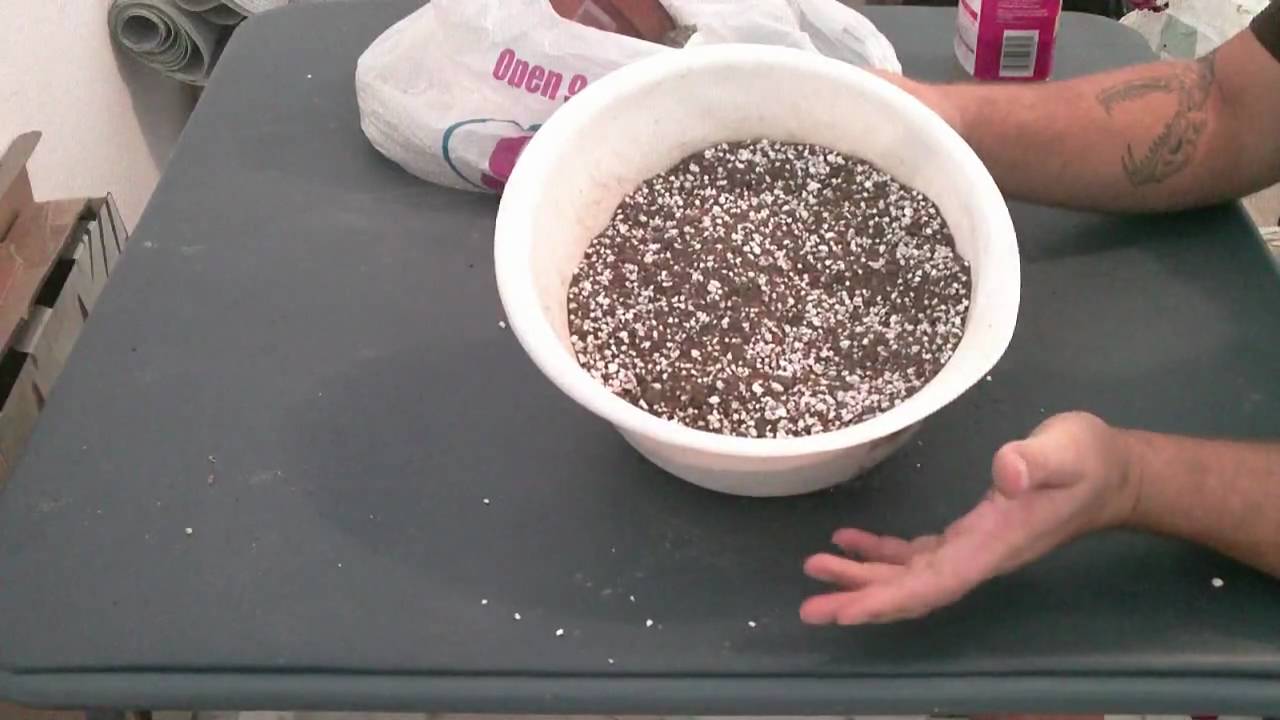 Cactus soil mix part 2
