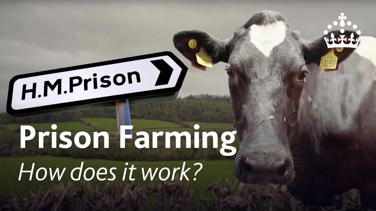Learning to Farm in an Open Prison
