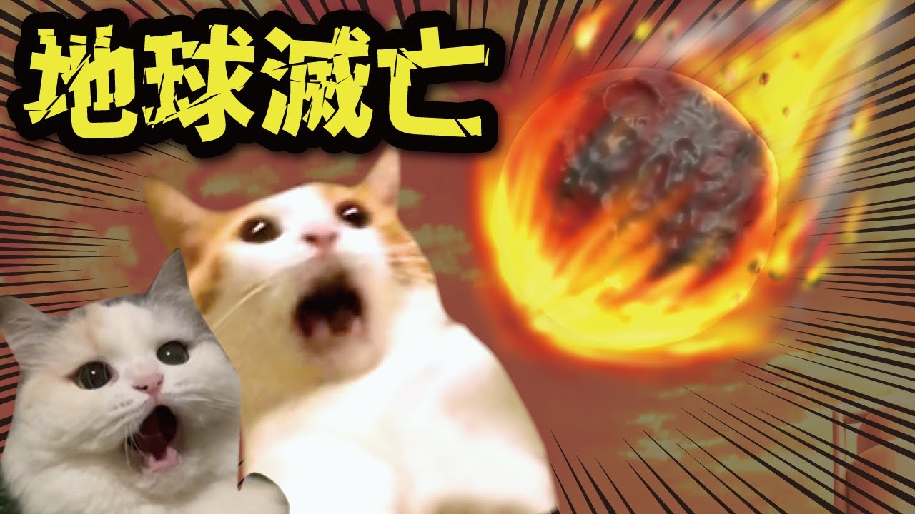 １０分後に地球滅亡する時の猫たちの反応【猫アニメ】【コント】