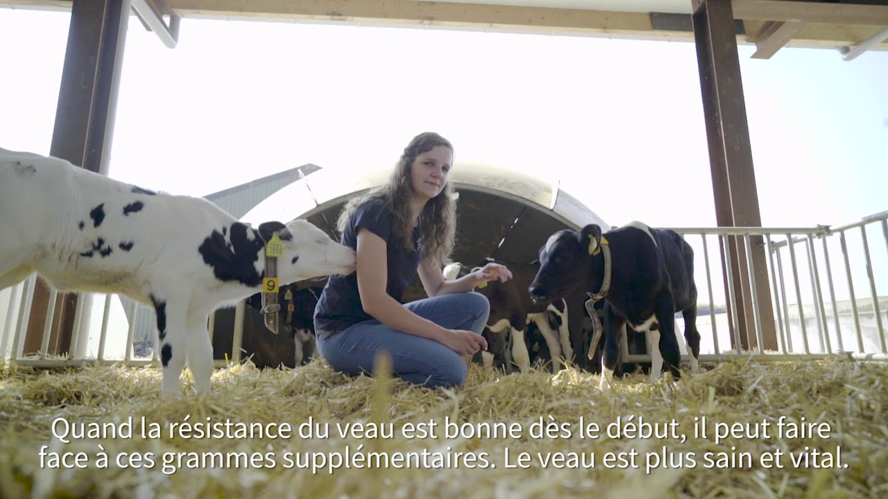 Nourrir de fa&ccedil;on plus concentr&eacute;e