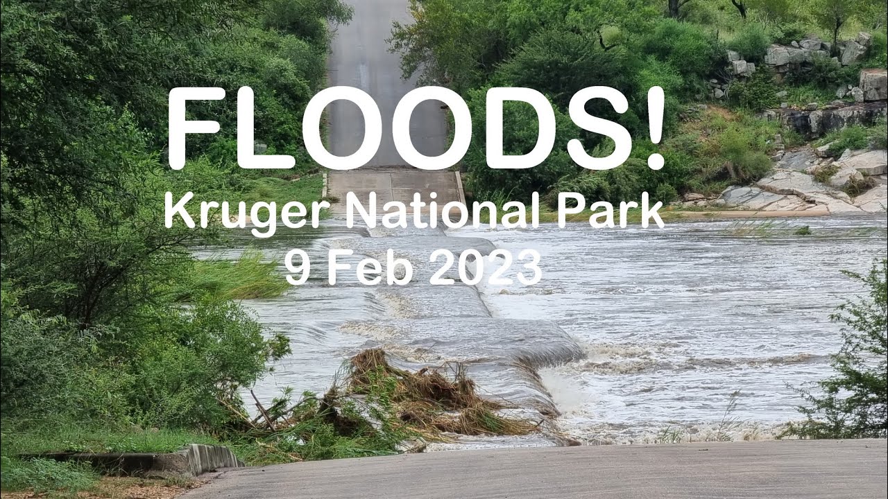 Floods in Kruger National Park, 9 Feb 2023