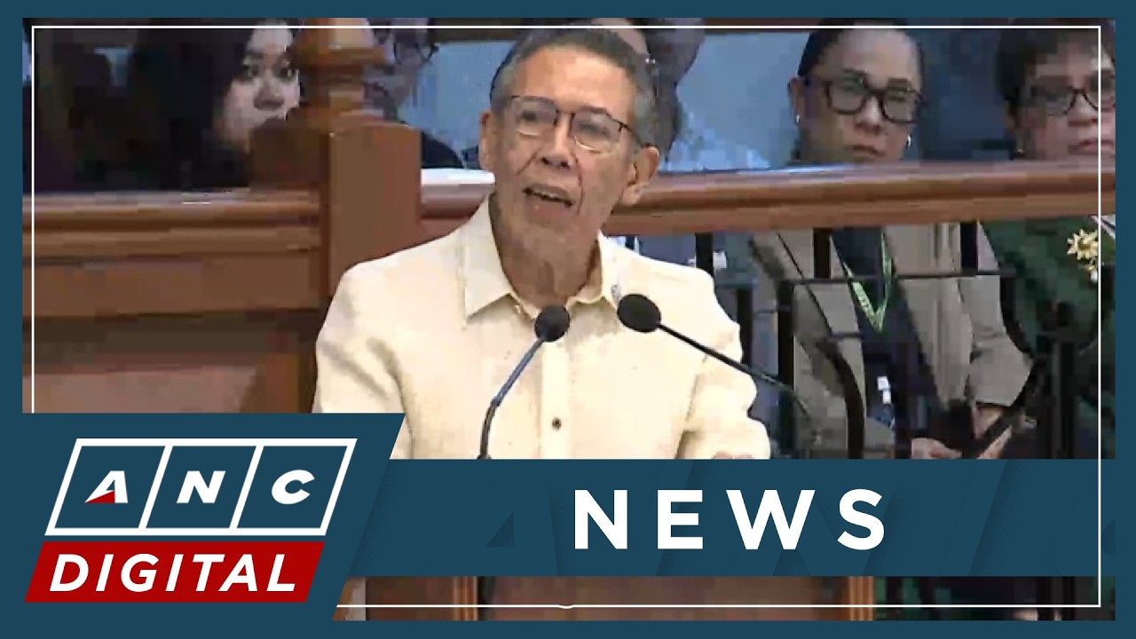 WATCH: Rep. Chel Diokno delivers prosecution arguments for subpoena of VP bank, tax records | ANC