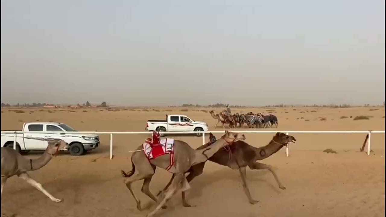 جرمان/سليمان سليم الهزيل الشراري