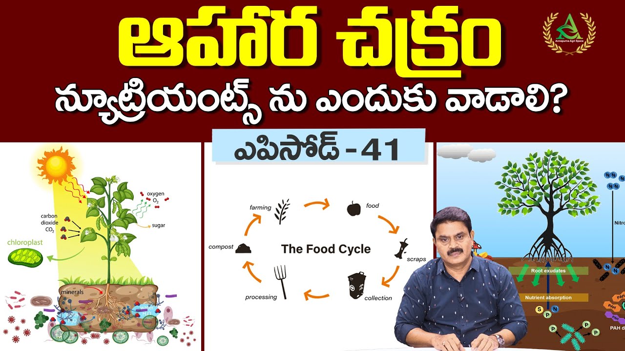 ఎపిసోడ్ -41- ఆహార చక్రం |  మొక్కలకు న్యూట్రియంట్స్ ఎందుకు వాడాలి? ONBA-04 | Annapurna agri space