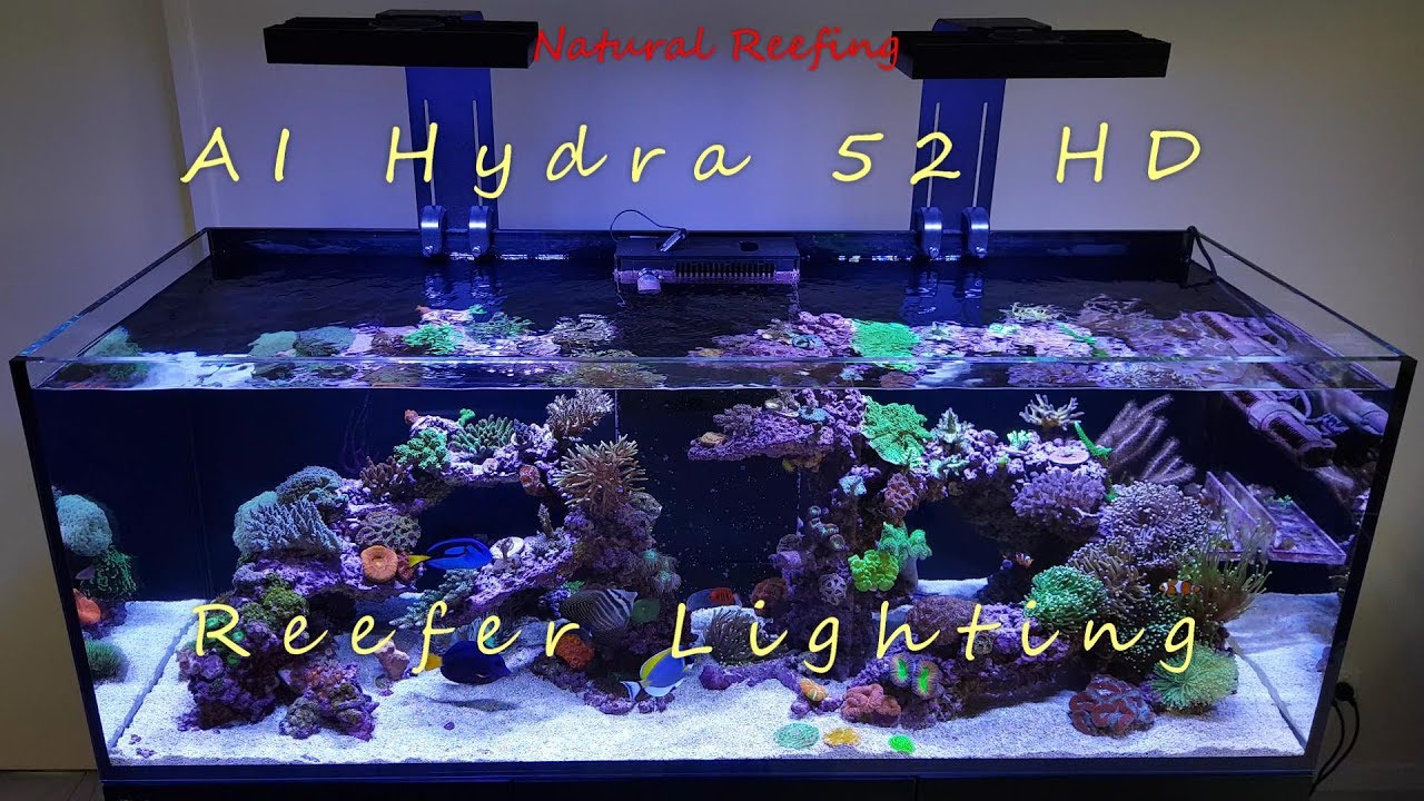 Red Sea Reefer 525 XL Lighting