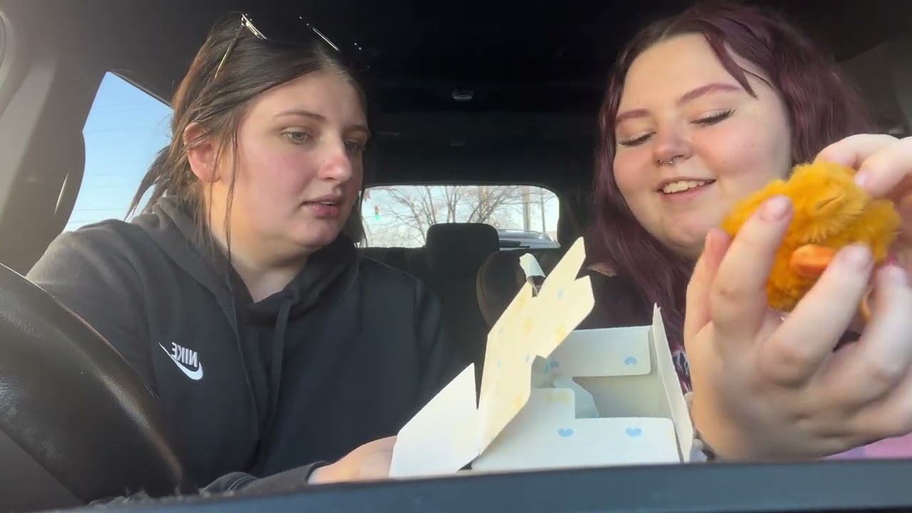 Vlog! 