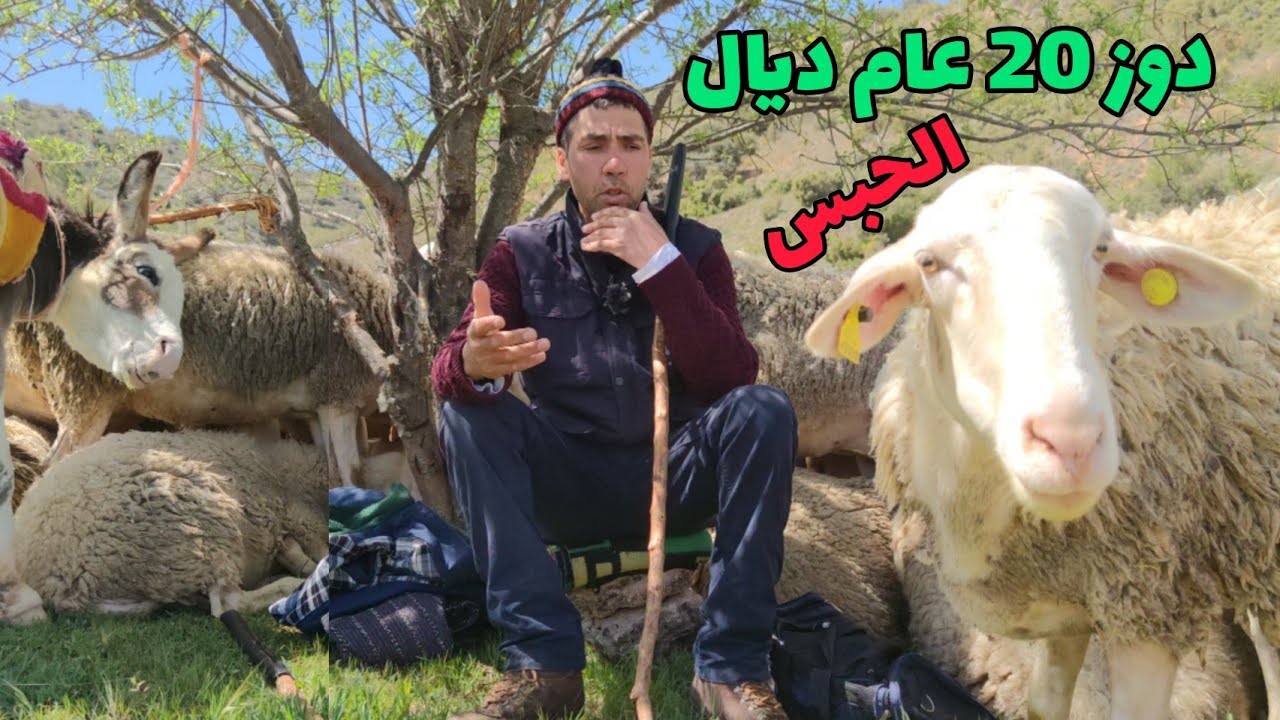 حلقة 24: دوز 20عام ديال الحبس.... ولكن الحق كيبان....؟