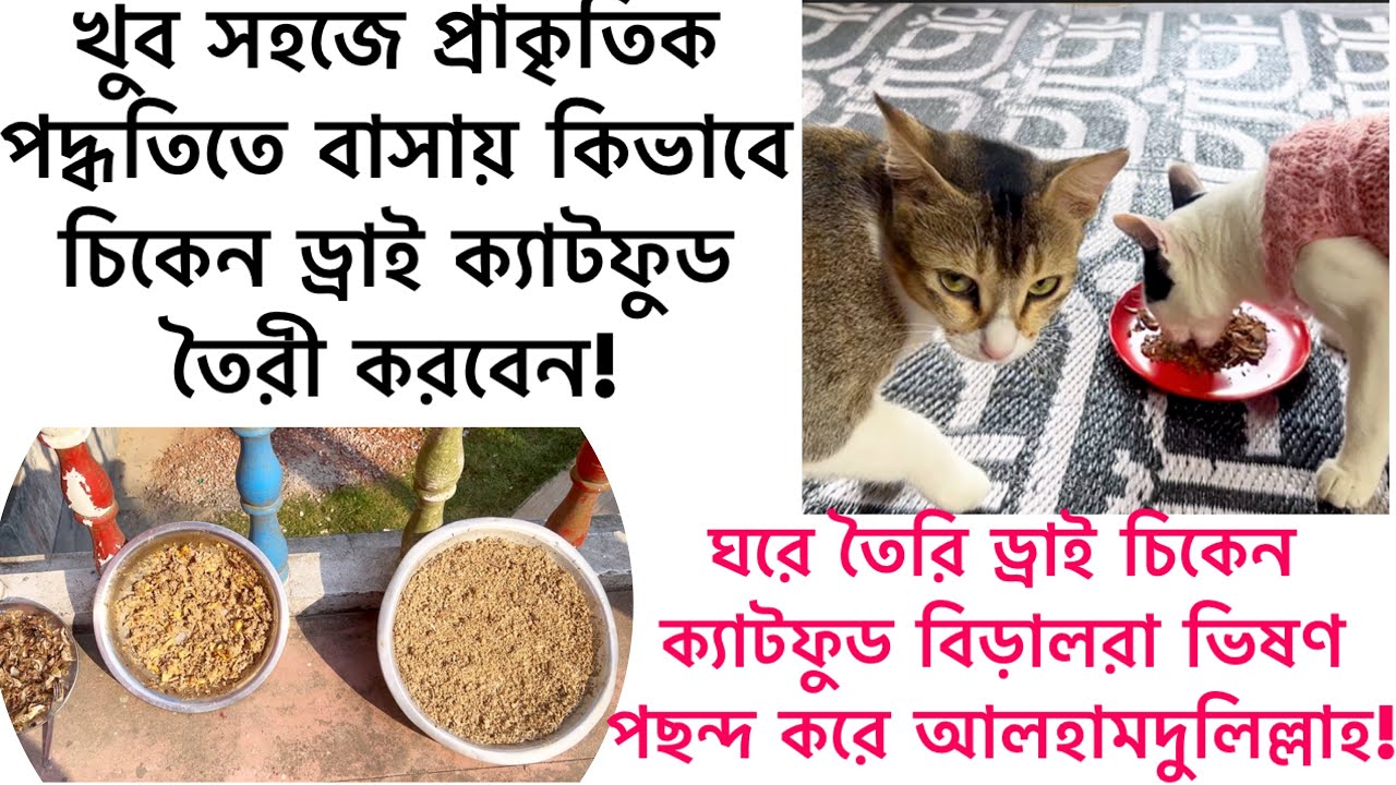 সম্পুর্ণ প্রাকৃতিক পদ্ধতিতে বাসায় চিকেন ড্রাই ক্যাটফুড তৈরির রেসিপি | HomeMade Chicken Dry Cat Food