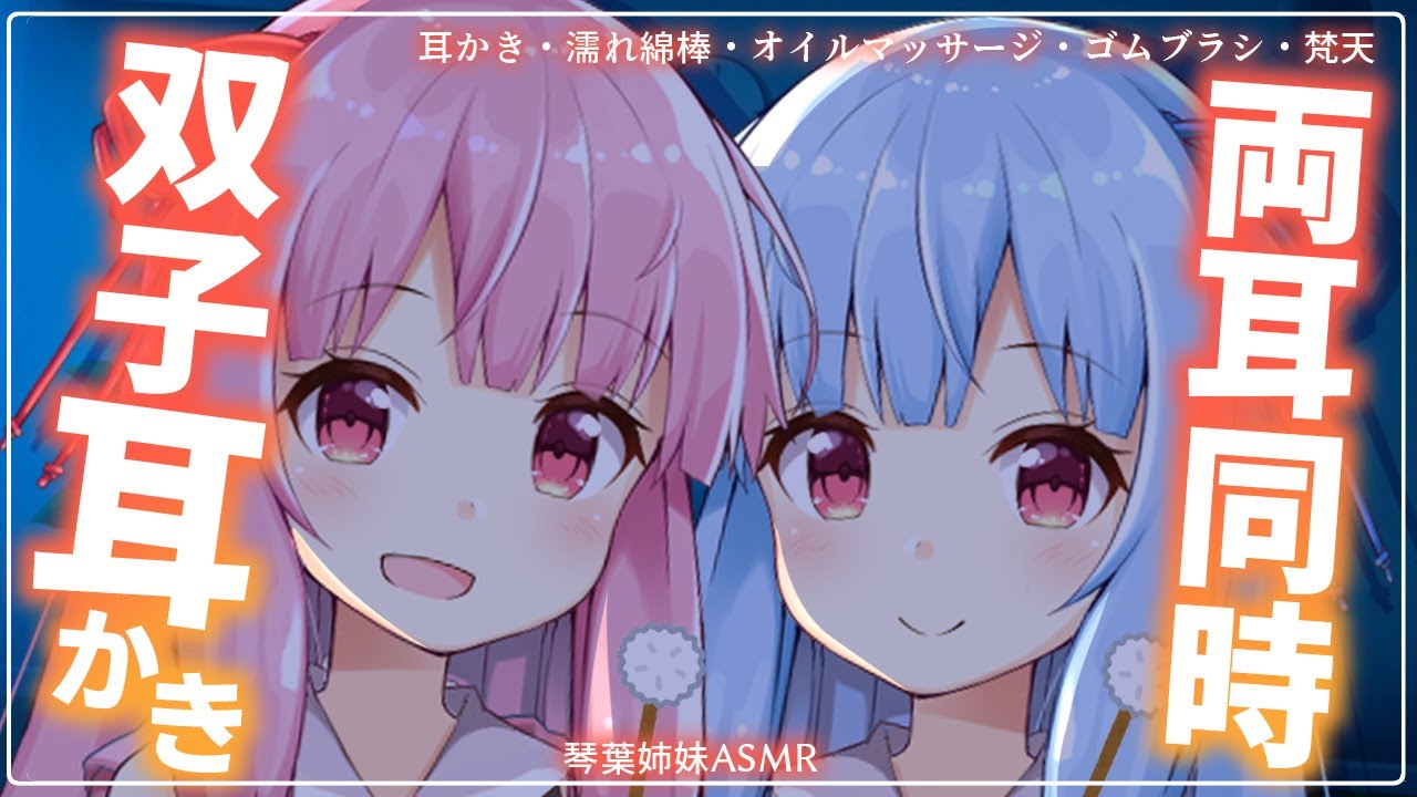 【ASMR】囁き琴葉姉妹に囲まれて、いっぱいお耳を癒やされる睡眠誘導動画【囁き】【耳かき】【オイルマッサージ】Ear Massage / Whispeing