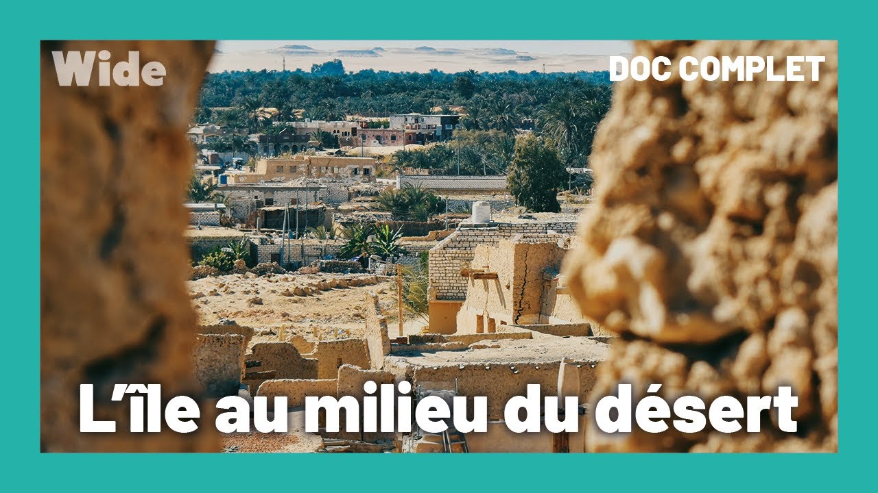 L'Oasis de Siwa : un parfum d'éternité I WIDE