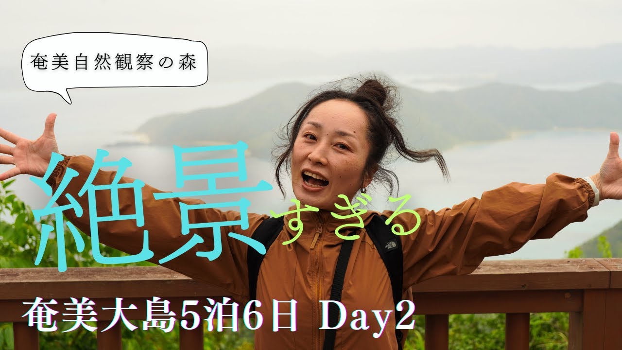 【奄美大島Vlog】絶景すぎる展望台に感動！奄美大島の自然と絶品「島豆腐」ランチを堪能する1日 DAY2