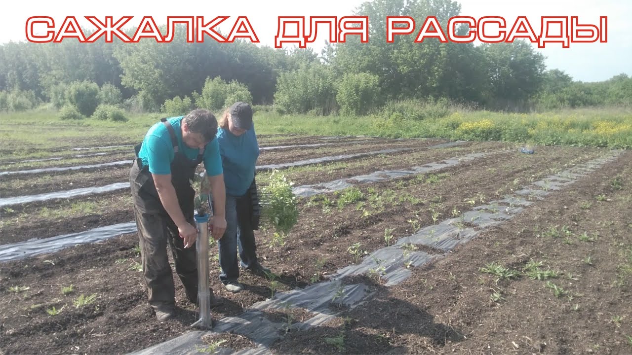 пистолет сажалка для рассады в деле