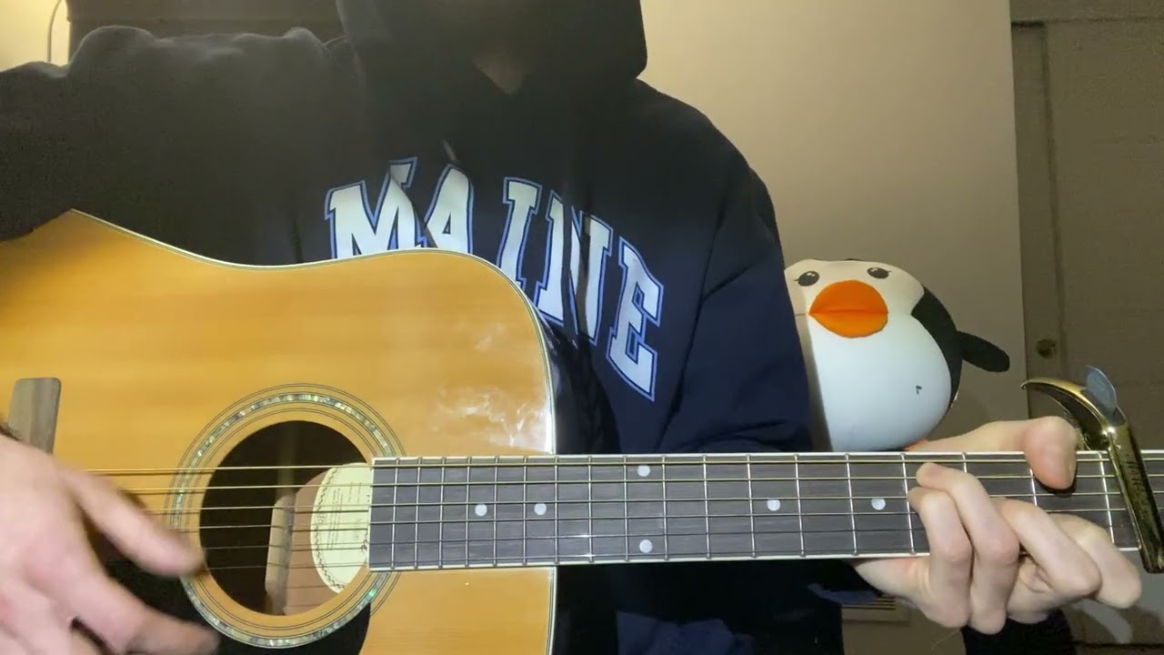 Tranquil Guitar Music Featuring Penguin