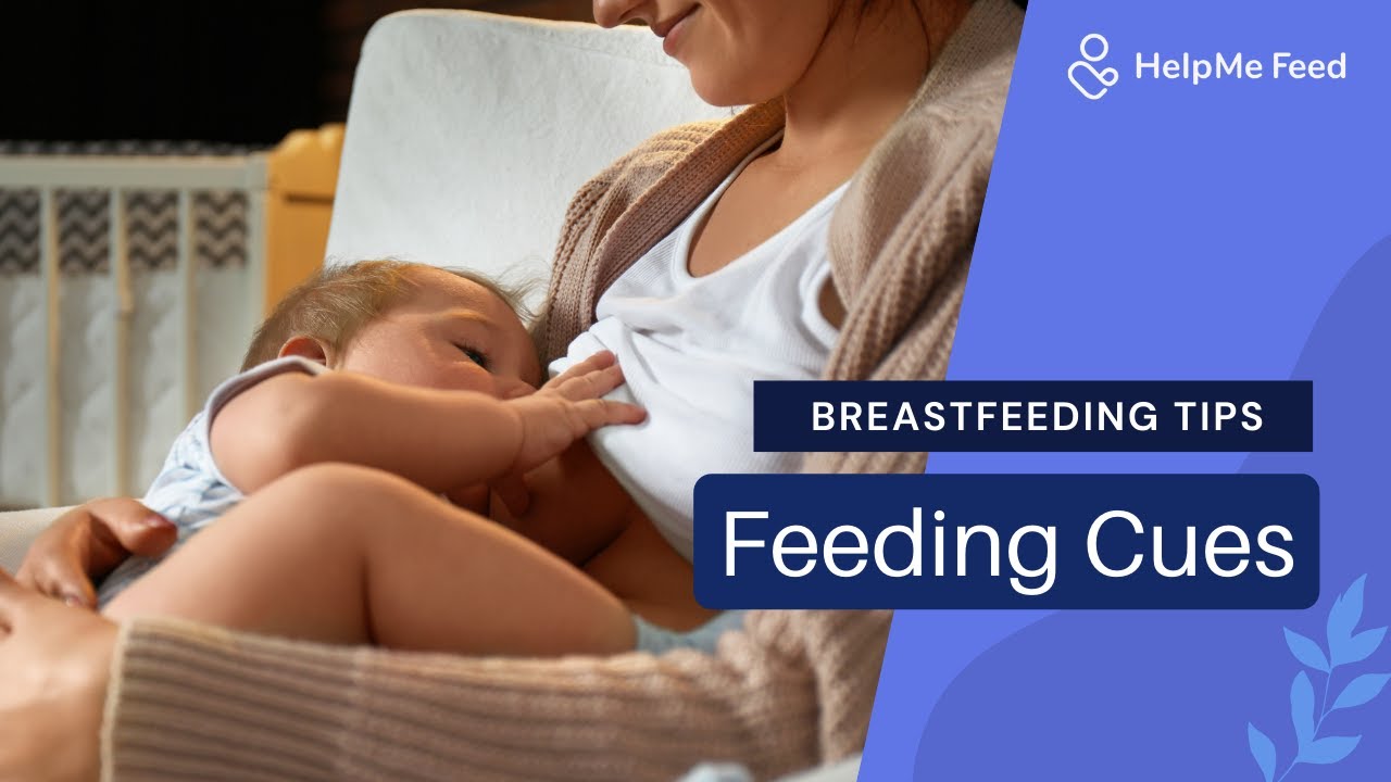 Feeding Cues