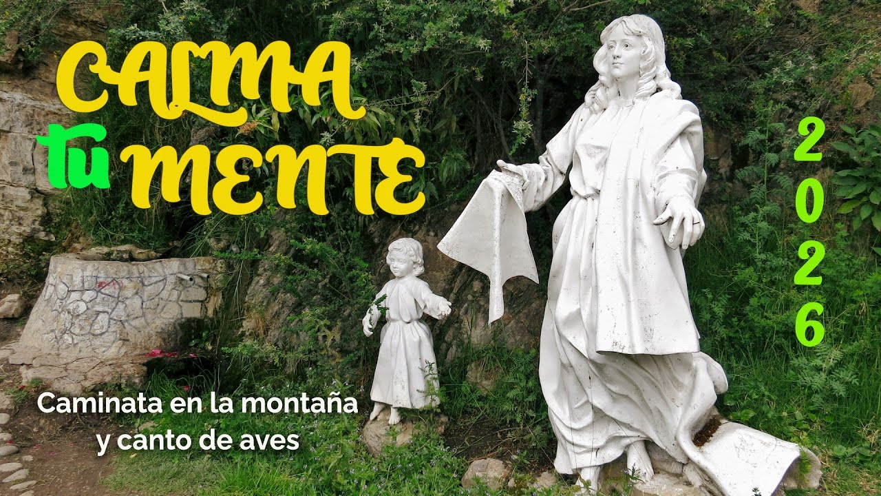 Caminata por el sendero de las aves - canto de aves y agua