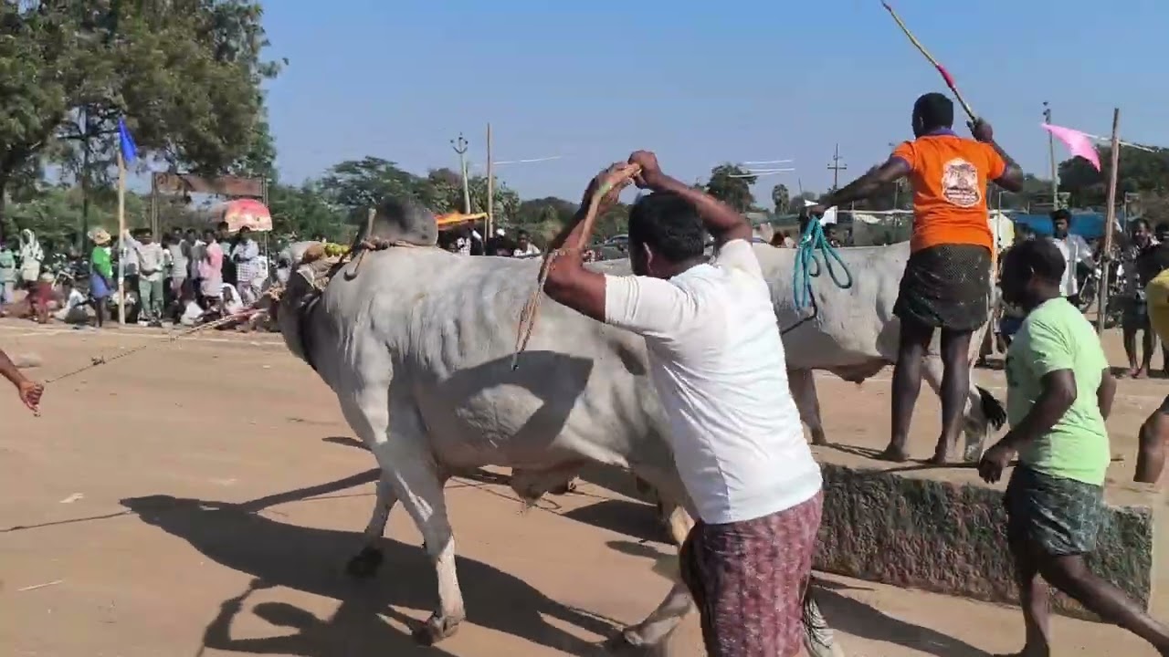 2025 Mandoddi న్యూ కేటగిరీ Winner Got 4th Place