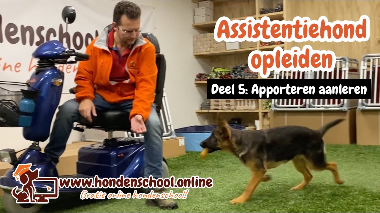 Assistentiehond opleiden - deel 5