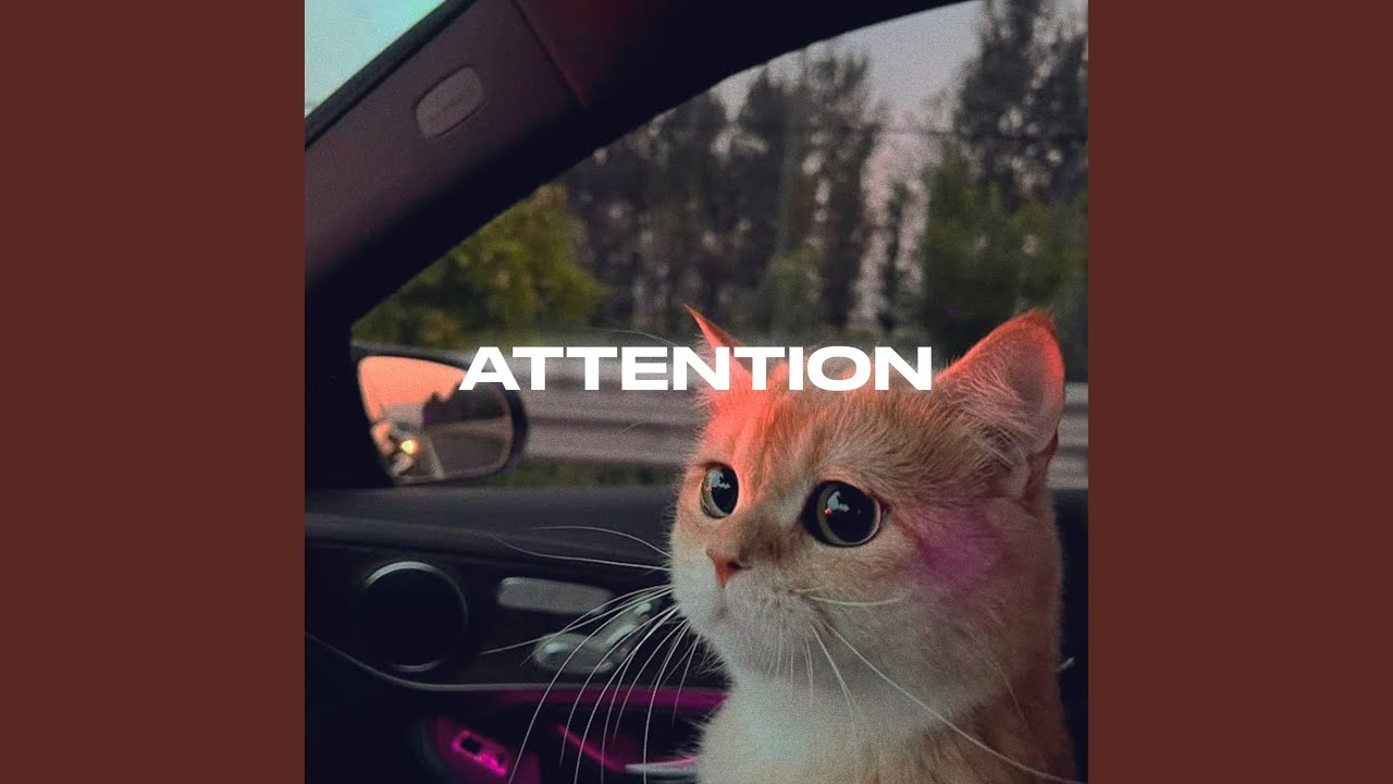 Attention