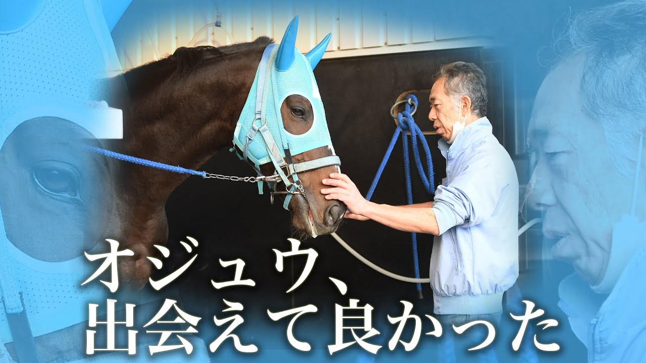 オジュウチョウサンとの出会いは一生の宝【長沼厩務員インタビュー】