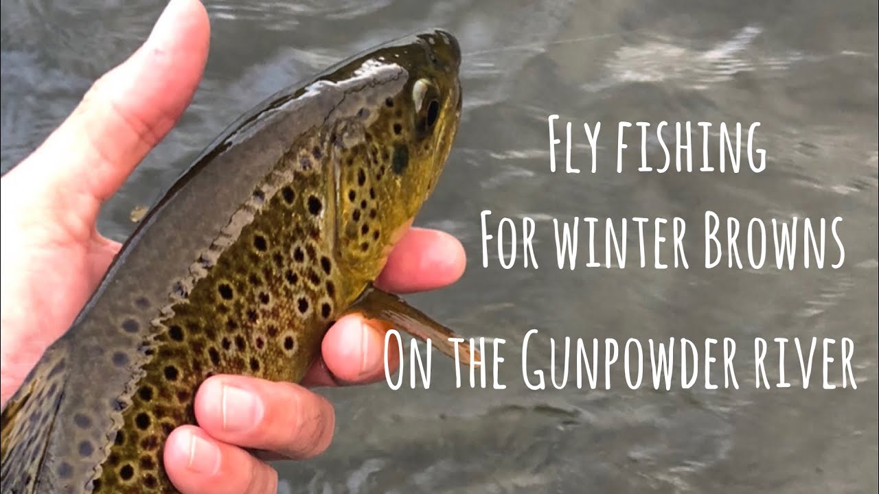 Winter FLY FISHING on the GUNPOWDER RIVER