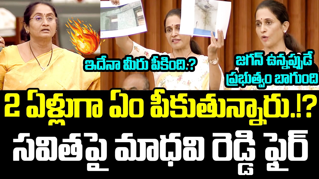 2 ఏళ్లుగా మీరు పీకింది ఇదేనా? Madhavi Reddy Sansetional Comments On Savitha.!? | Kadapa Reddamma |