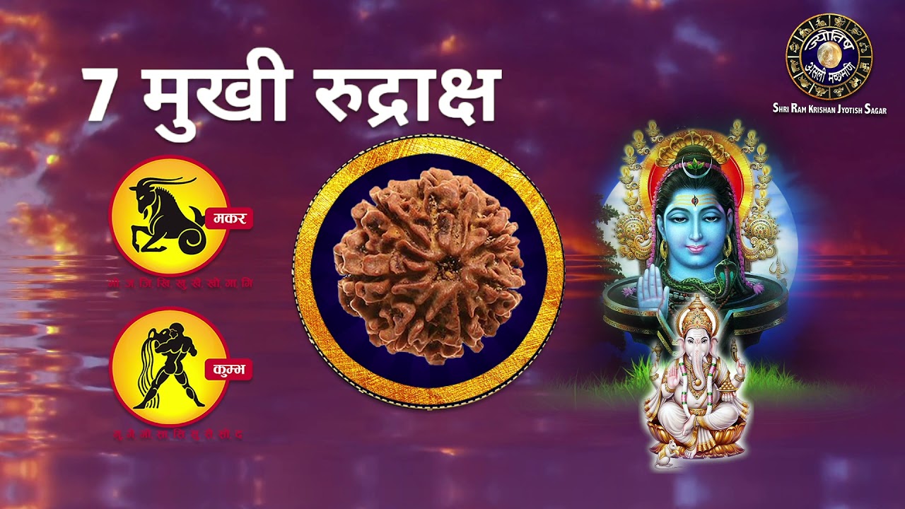 7 मुखी रुद्राक्ष की पहचान I 7 मुखी रुद्राक्ष के फायदे I 7 मुखी रुद्राक्ष का महत्व 9899653888