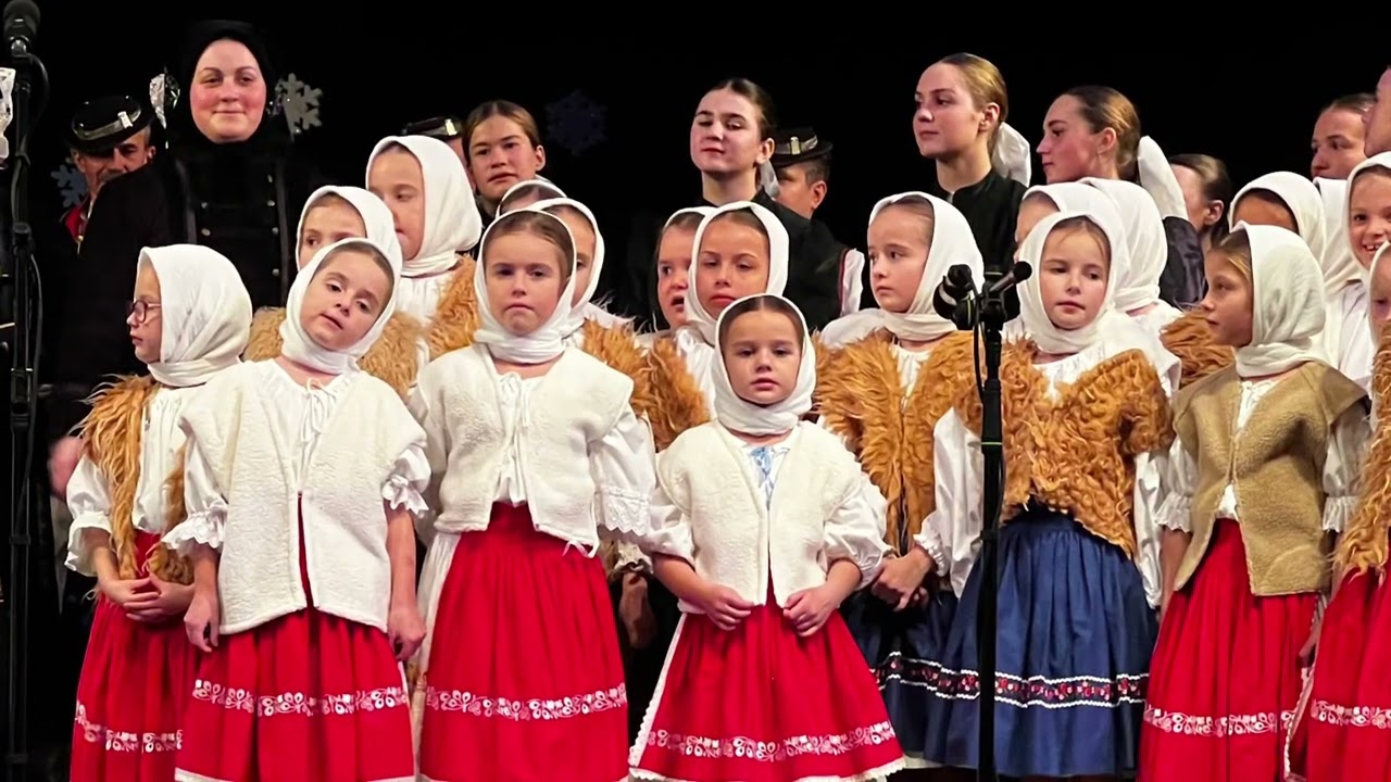 Dnešný deň sa radujme 🎄 s dfs ratolesť 2022