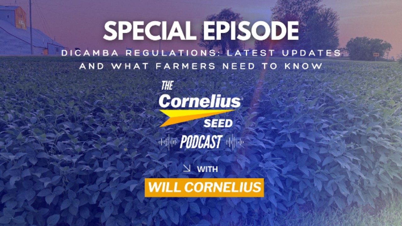 Dicamba Regulations: Latest Updates and What Farmers Need to Know