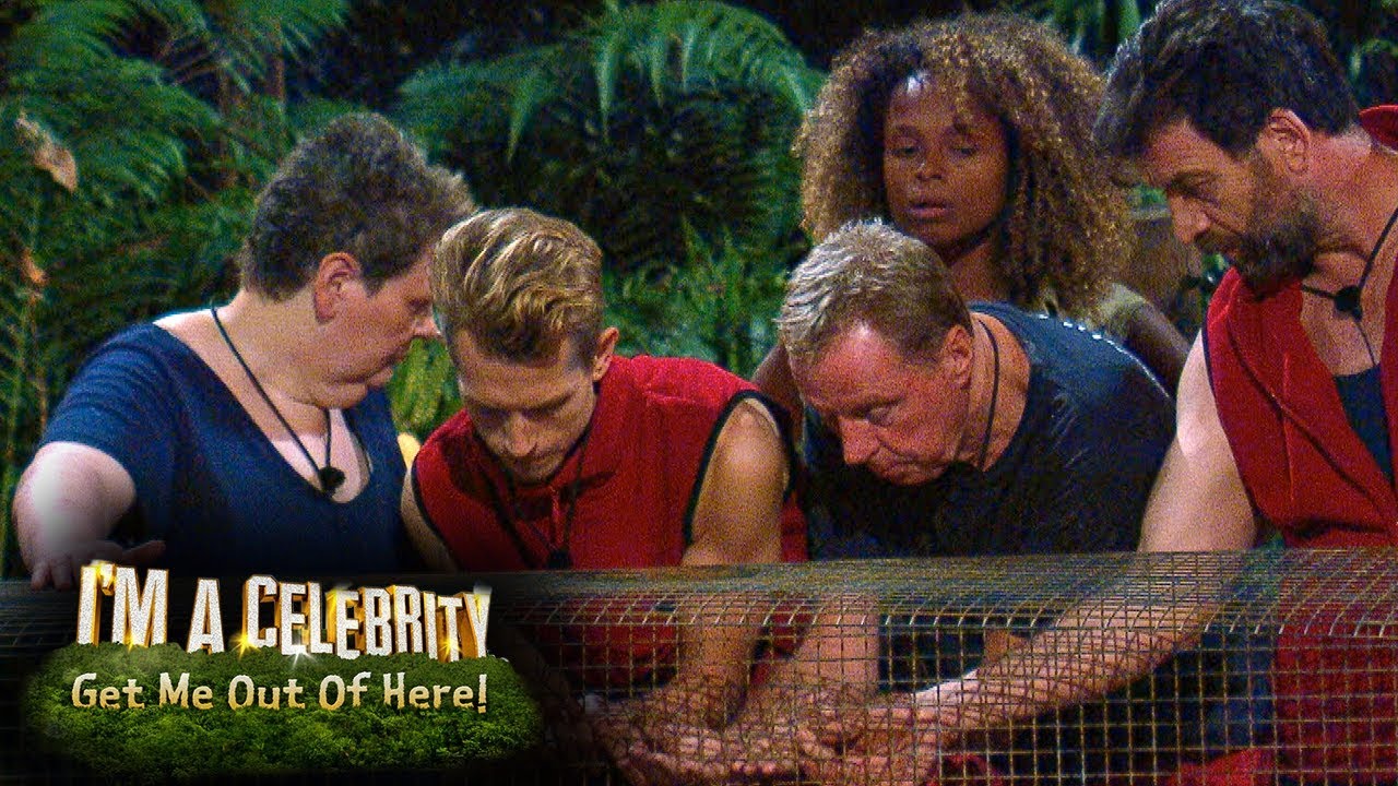 It's Eggstra Tense as Fleur's Letter From Home is Lost | I'm A Celebrity... Get Me Out Of Here!