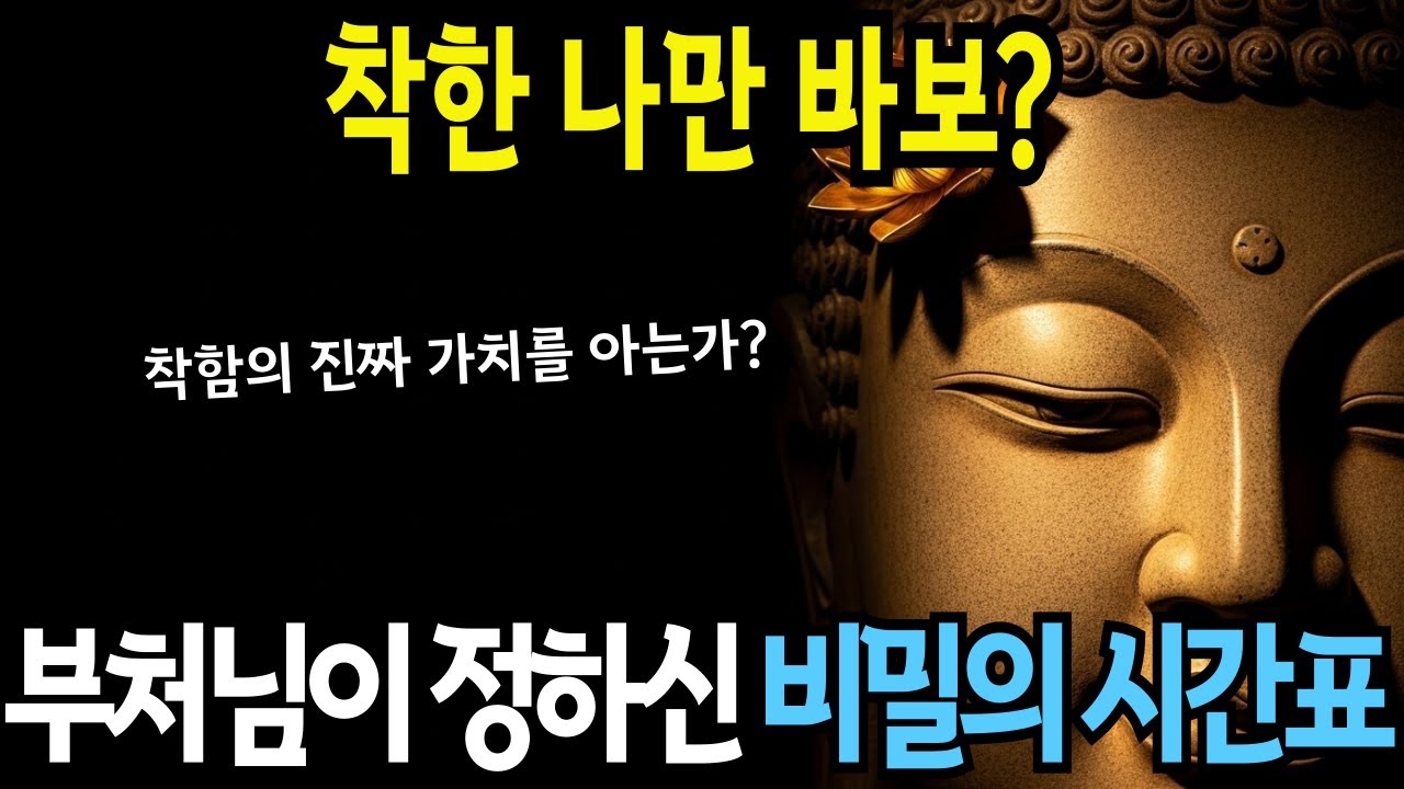 착한 나만 바보? 절대 몰랐던 인과응보 시차의 비밀