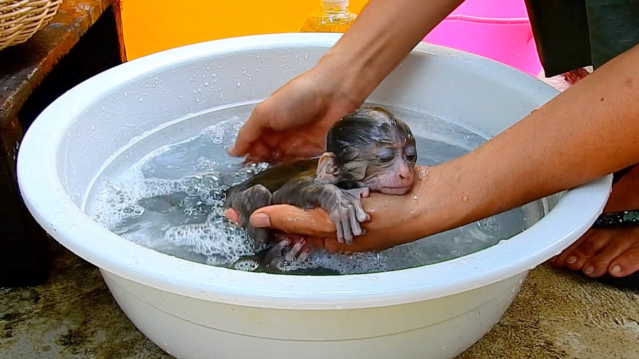 Dad bring black baby to take bath for clean charcoal dust.