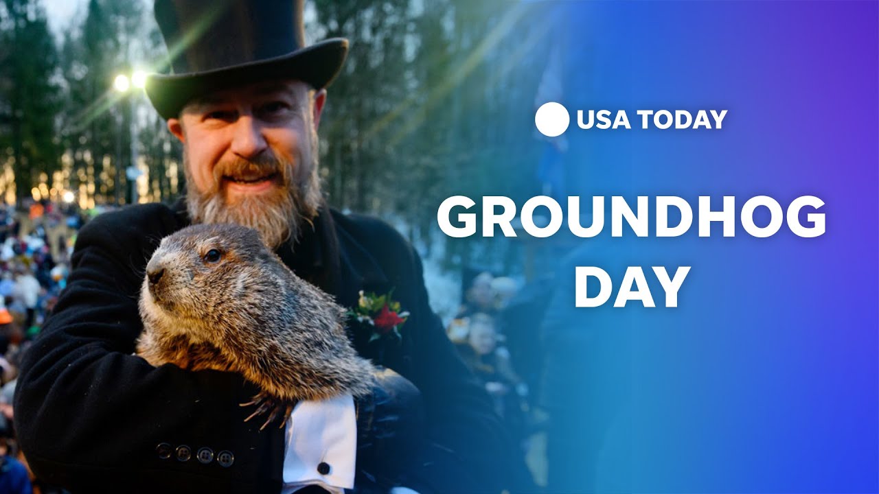 Watch: Groundhog Day 2023: Phil predicts 6 more weeks of winter | USA TODAY