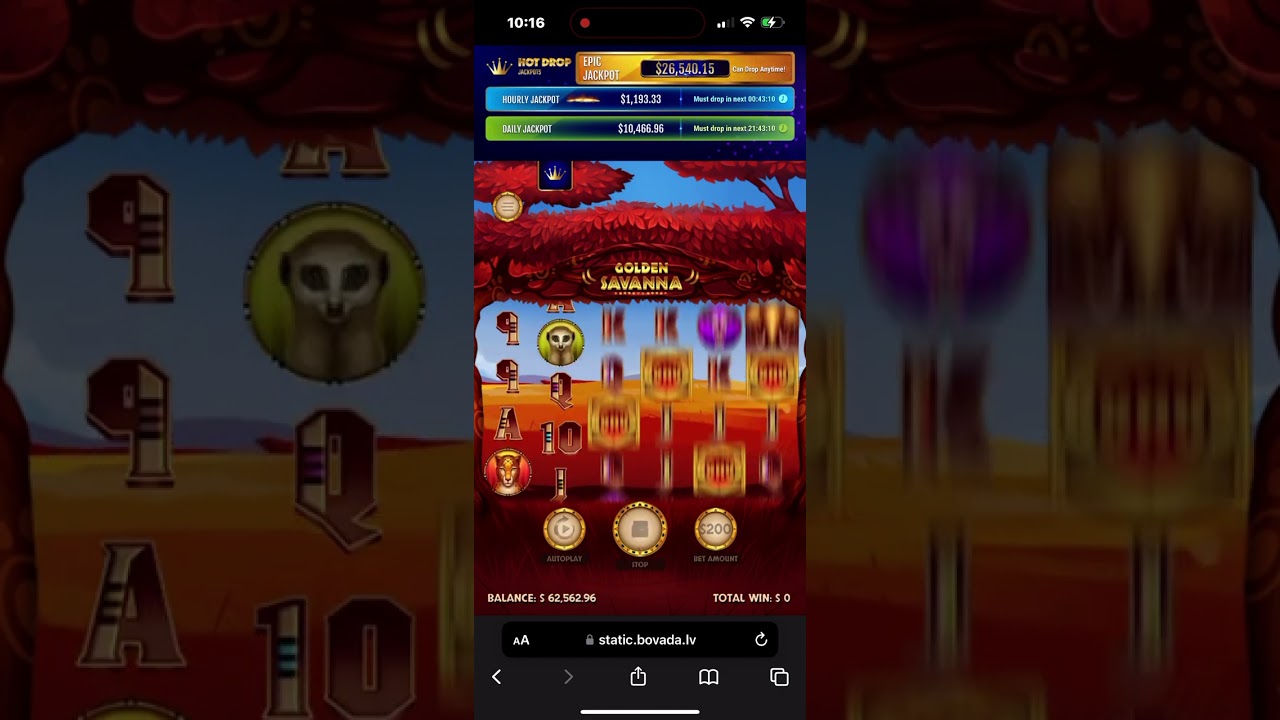 Wild Session #2 #2023 #slots #slotmachine #casino #gambling #winner