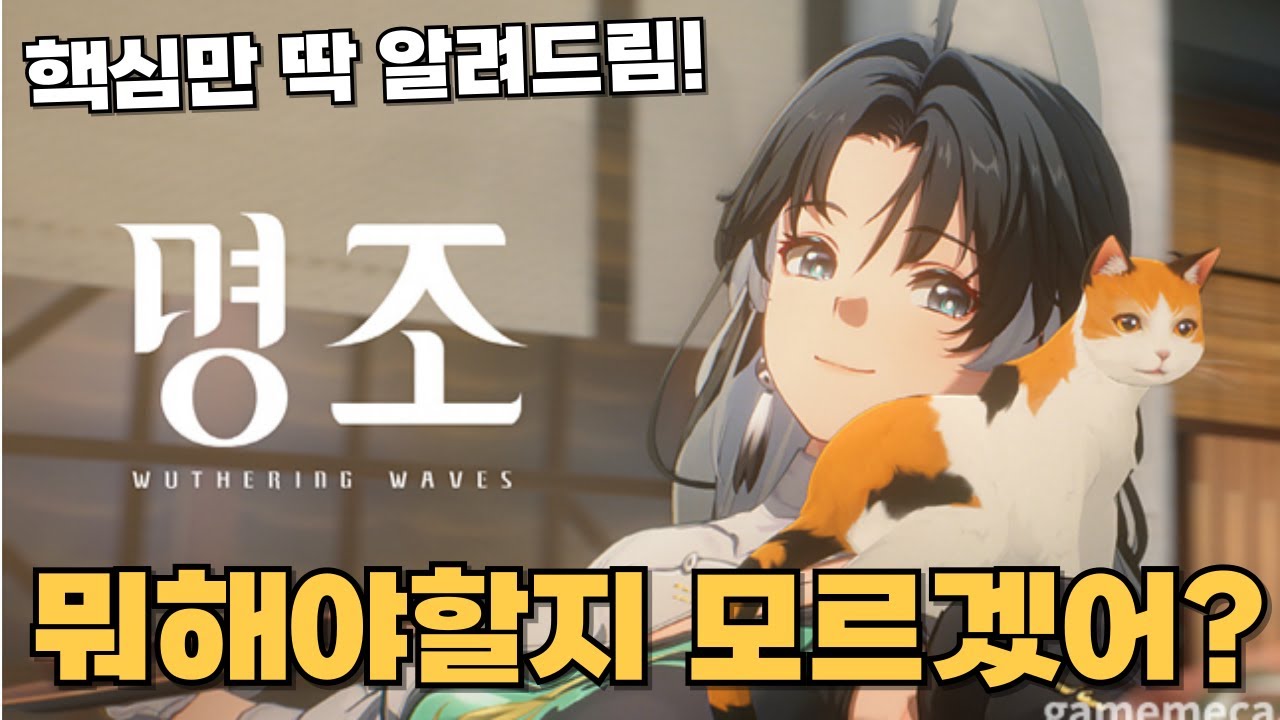 [명조] 어수선한 뉴비를 위한 초간단 안내 가이드