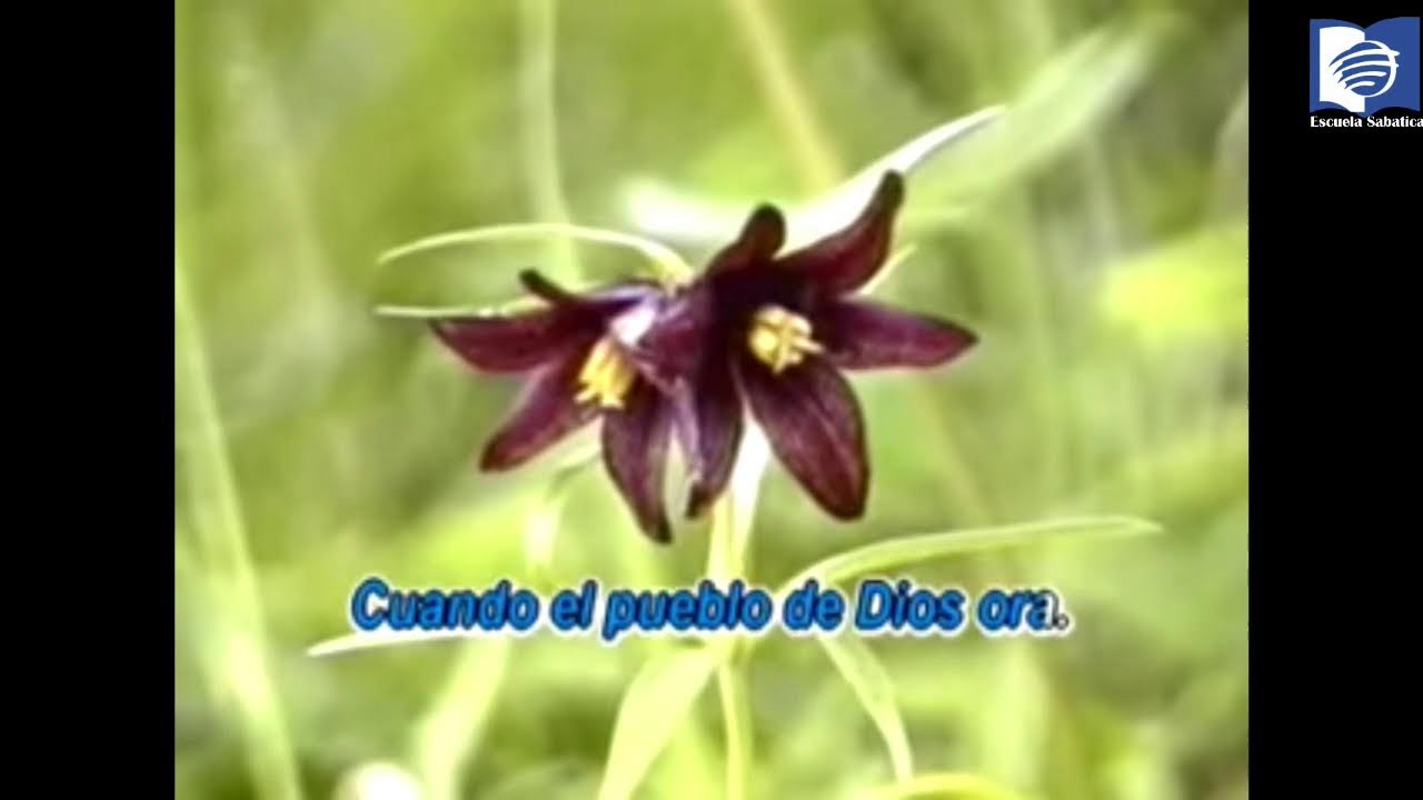 Escuela Sabatica, 10 de enero 2026. El Shaddai no tiene derchos de autor de musica.